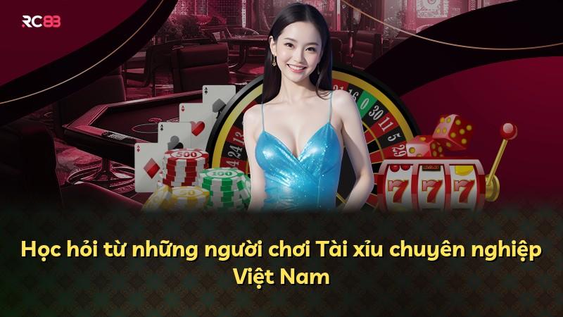 Học hỏi từ những người chơi Tài xỉu chuyên nghiệp Việt Nam