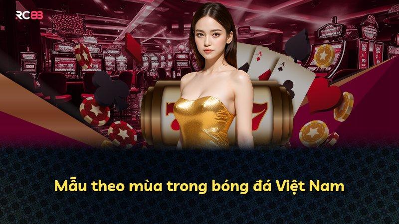 Mẫu theo mùa trong bóng đá Việt Nam