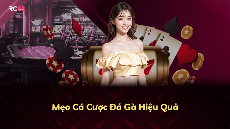 Mẹo Cá Cược Đá Gà Hiệu Quả