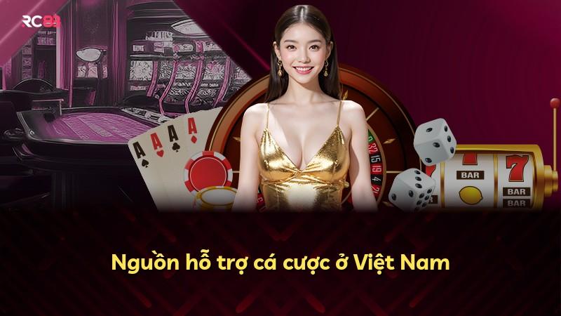 Nguồn hỗ trợ cá cược ở Việt Nam
